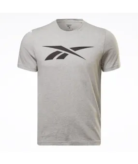 Camiseta Reebok Graphic Series Vector Hombre Gris