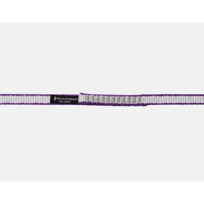 Correas Black Diamond 10 Mm Dynex Runner 240 Cm (Violeta)