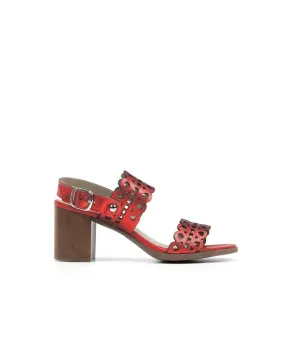 D8173-LA Zapatos Mujer