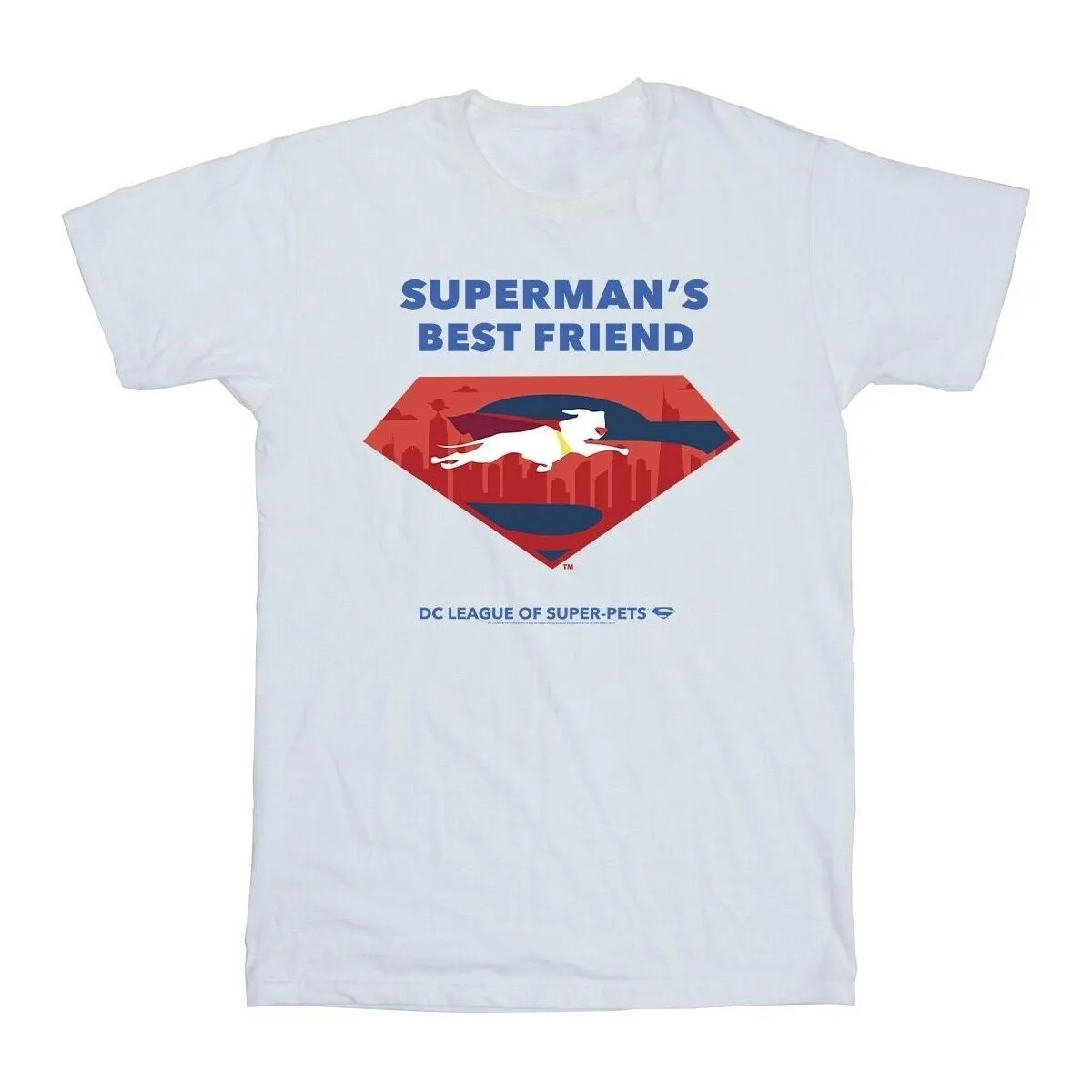 DC LEAGUE OF SUPERPETS SUPERMAN'S BEST FRIEND