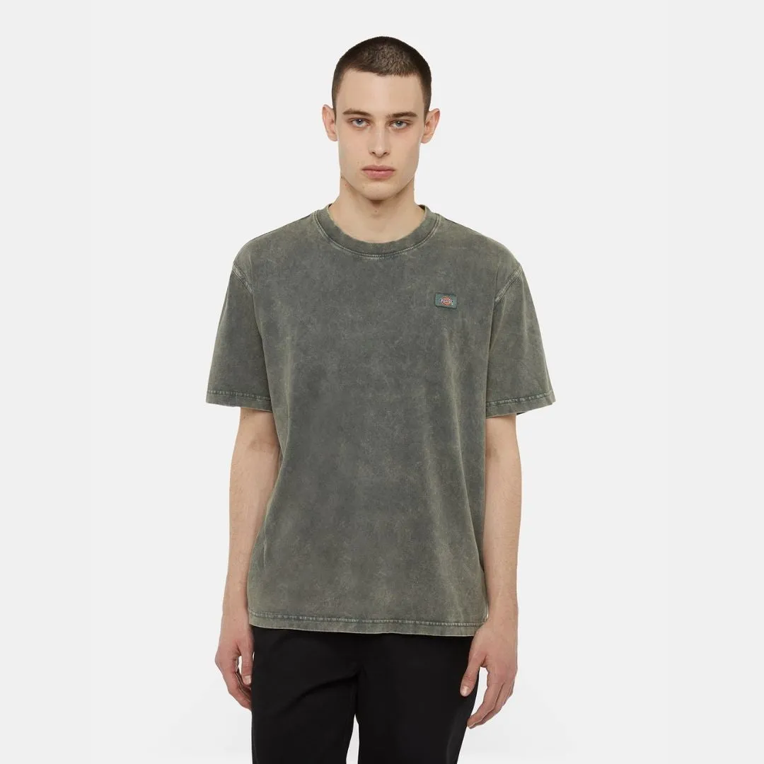 DICKIES NEWINGTON TEE TSHIRT GREEN