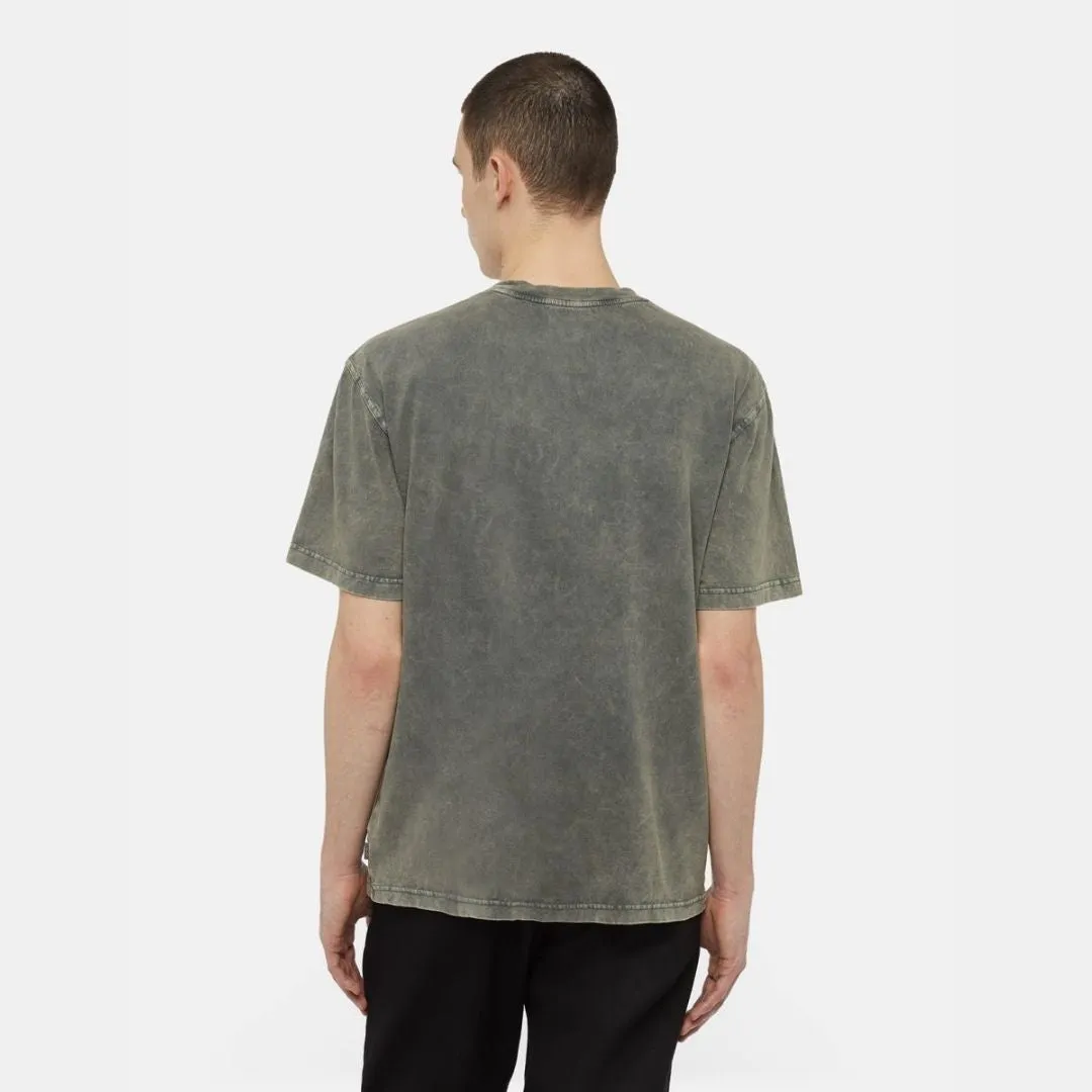 DICKIES NEWINGTON TEE TSHIRT GREEN