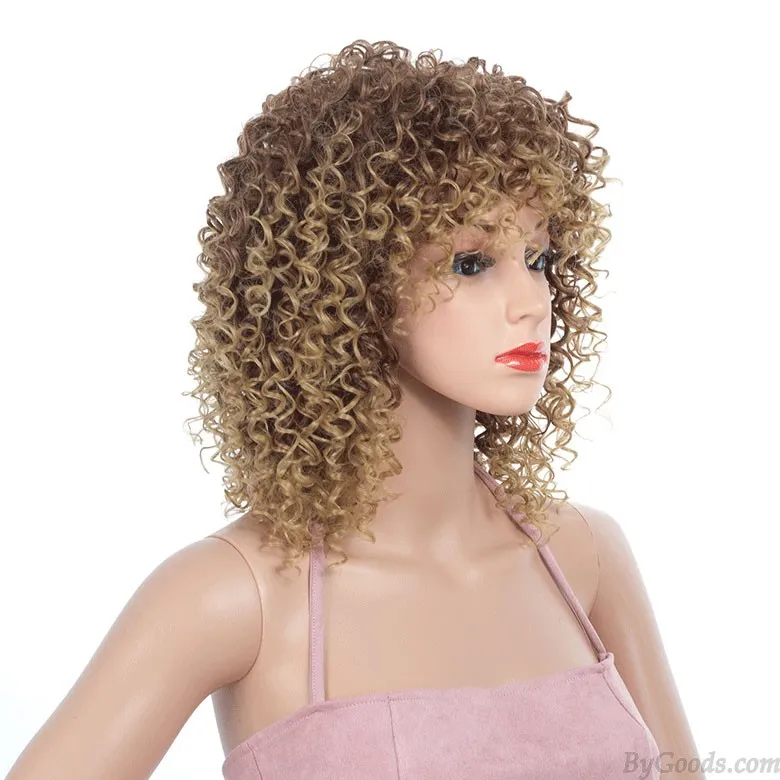 Long Kinky Wavy African Curly Afro Hair Wigs For Women Lace Front Bangs Synthetic Heat Resistant Natural Wig  