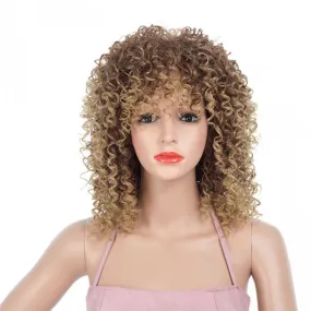 Long Kinky Wavy African Curly Afro Hair Wigs For Women Lace Front Bangs Synthetic Heat Resistant Natural Wig  