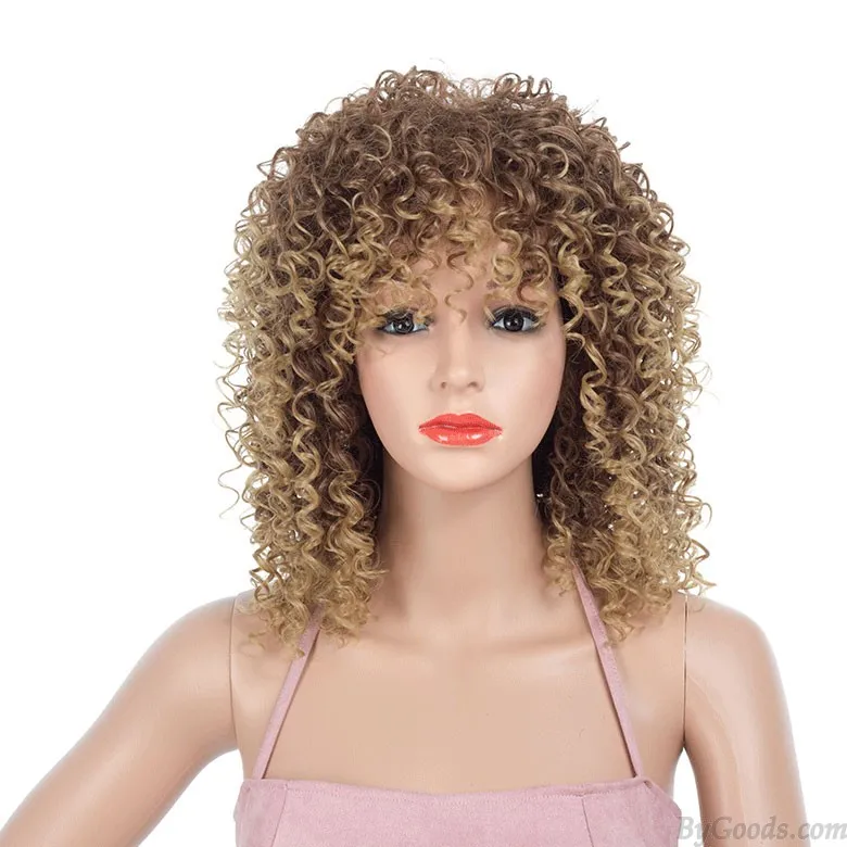 Long Kinky Wavy African Curly Afro Hair Wigs For Women Lace Front Bangs Synthetic Heat Resistant Natural Wig  