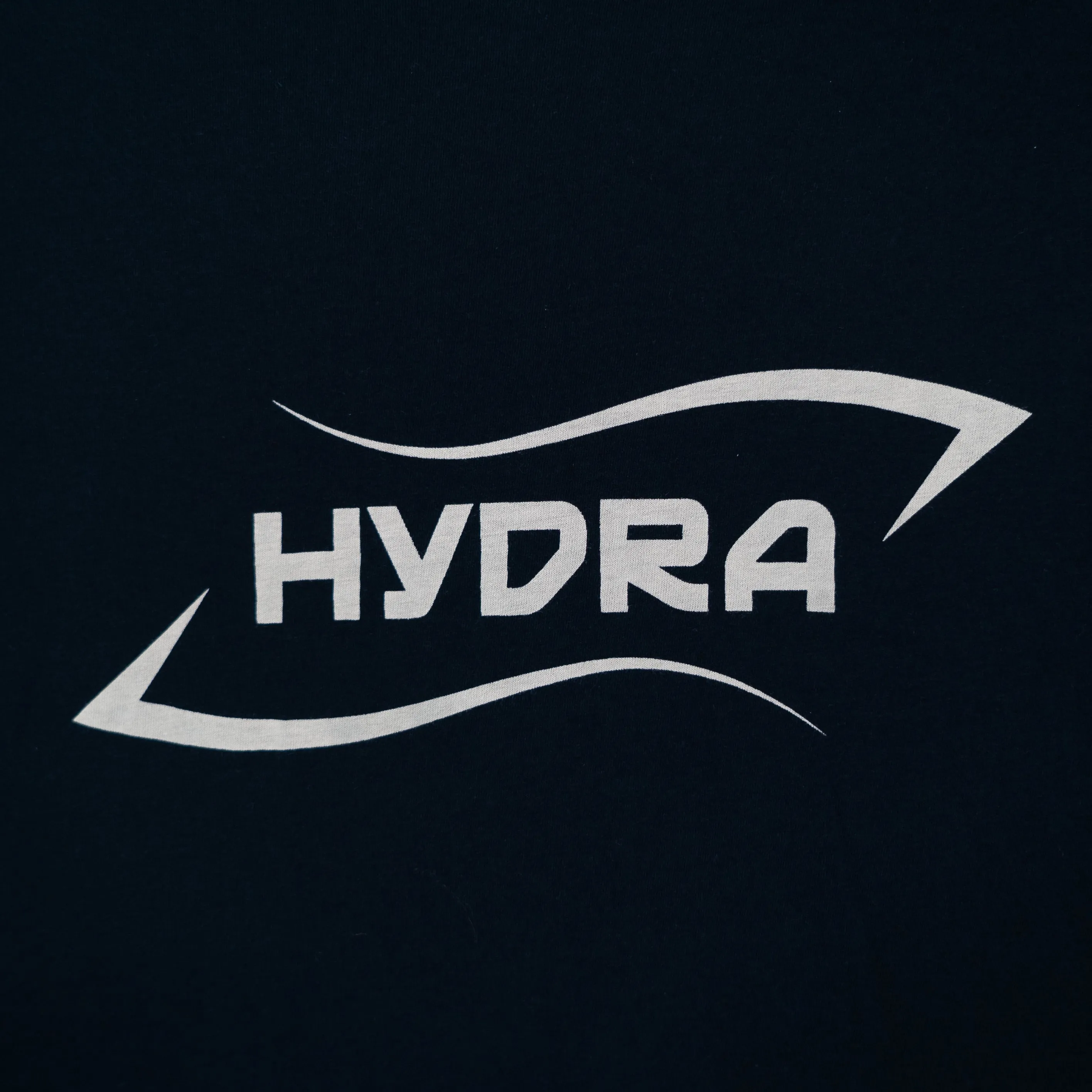 POLERA  MANGA LARGA HYDRA LOGO