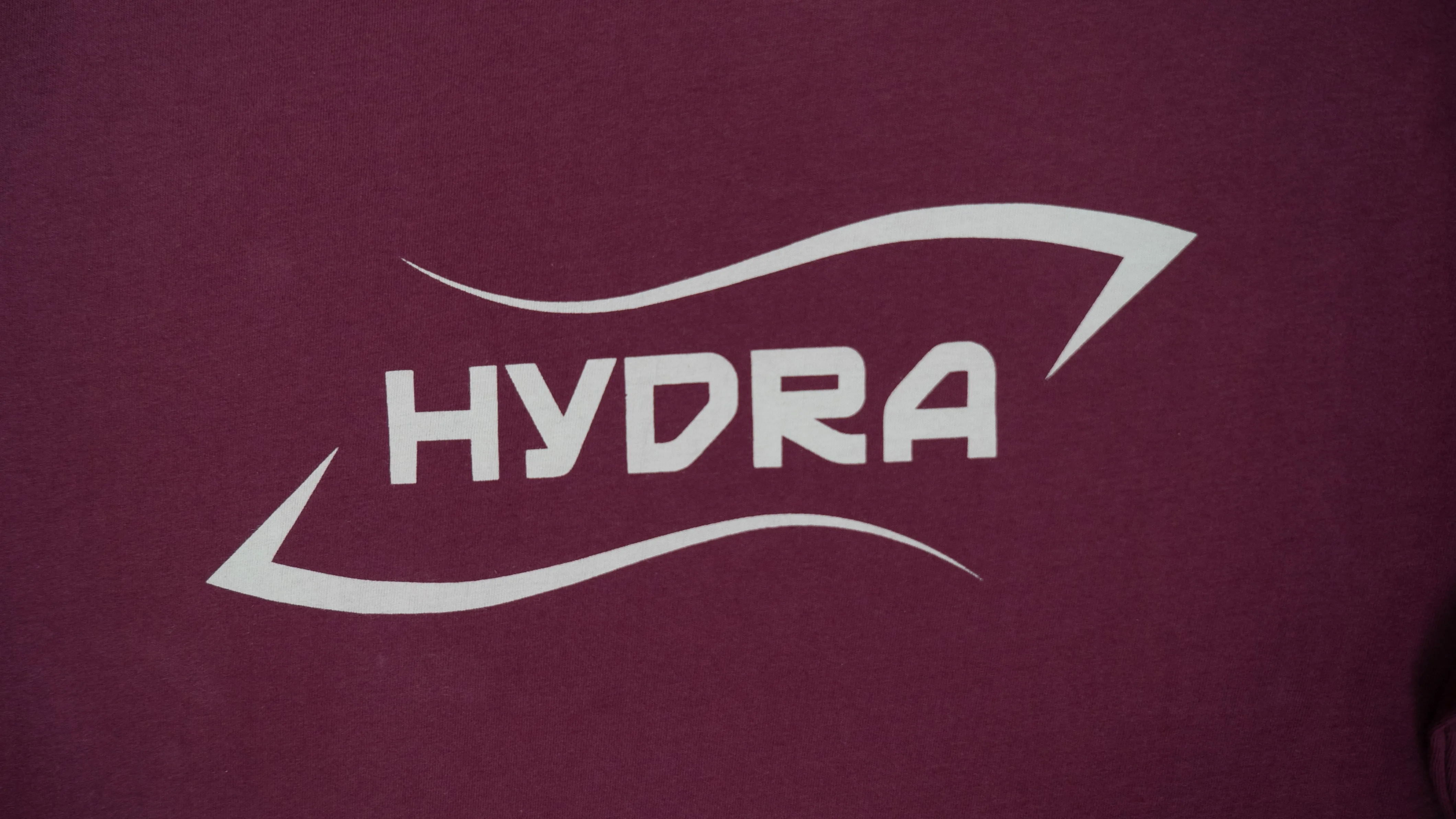 POLERA  MANGA LARGA HYDRA LOGO