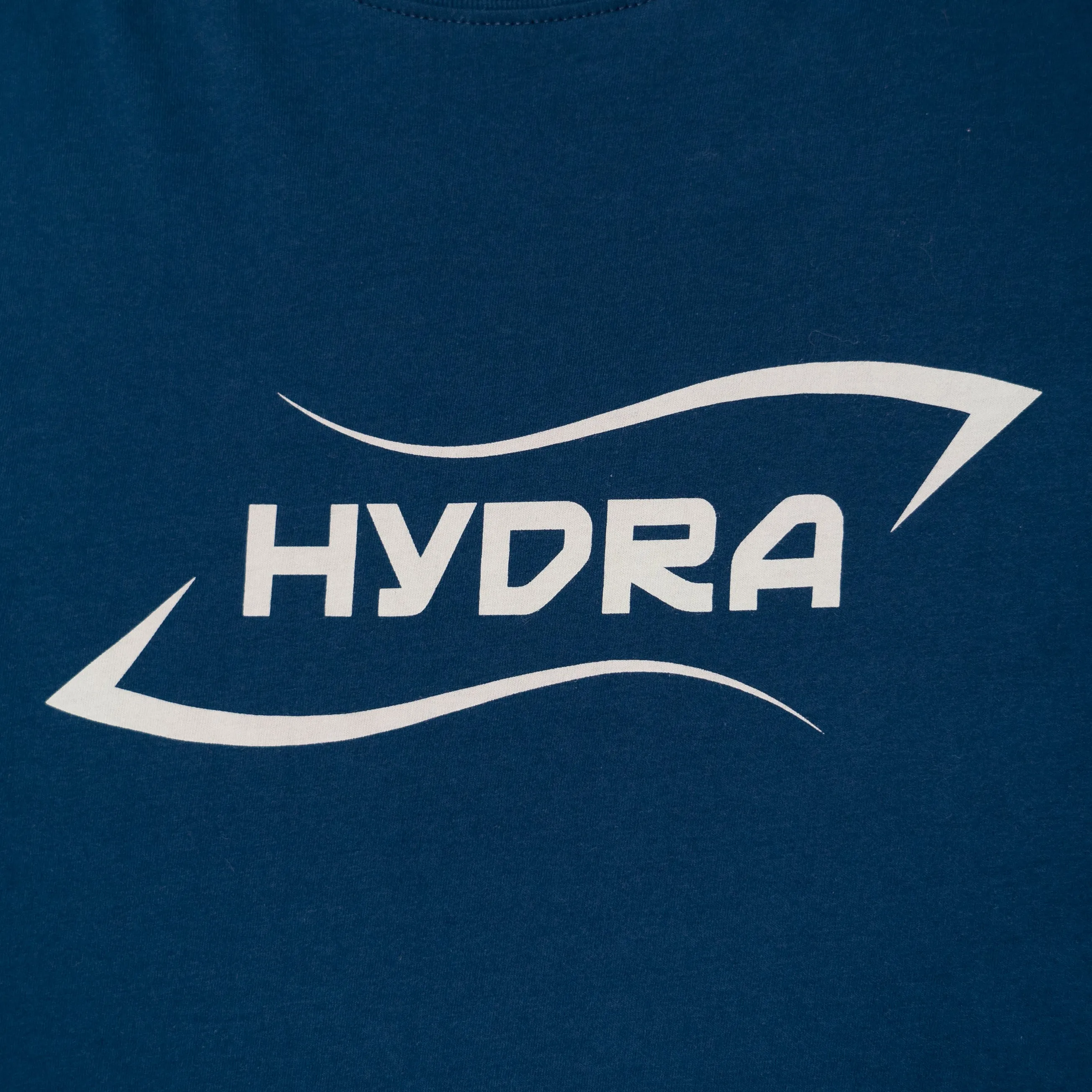 POLERA  MANGA LARGA HYDRA LOGO