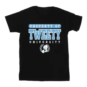 Tweety Property Of University